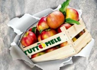 Risultati immagini per tuttomele