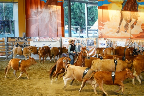 Beatrice Depetris conquista il tetto d’Europa nel Ranch Sorting