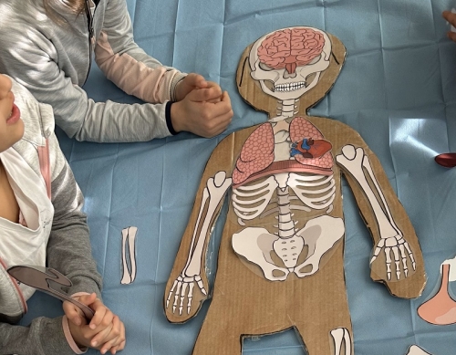 “Mamme Infermiere”: Un Viaggio nel Corpo Umano per Quarta e Quinta