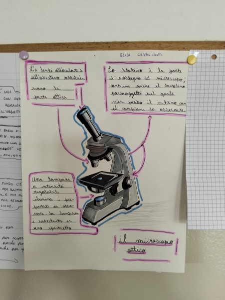 Costruire per capire: gli studenti di Prima Media realizzano il loro primo microscopio
