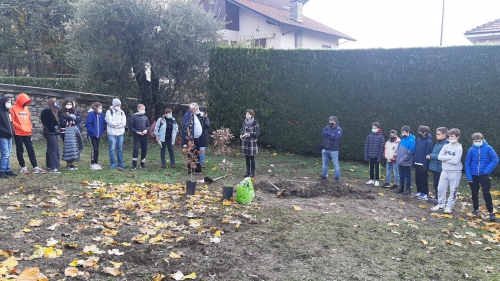 La quercia della libertà